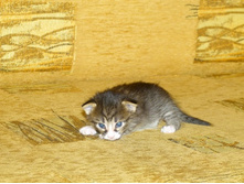 �������