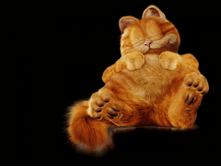 ������� ����.png