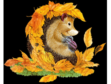 ���� � �������.png