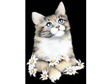 ��� � ���������.png