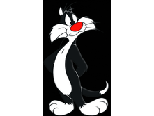 ��� ���������.png