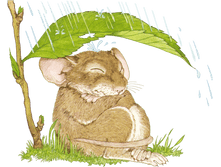 ����� ��� ���ģ�.png