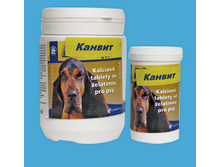 ������ ������� ����