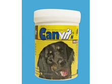 ������ ������ �����