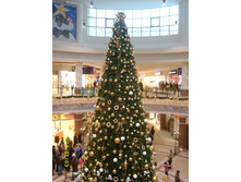 ���� � ������ (��) :) 