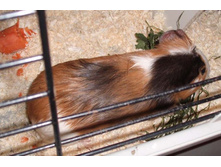 ������, ��� ������