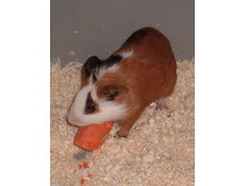 ���������� �������...