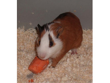 �� ���������� ������