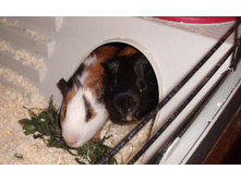 ��� �����!