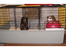 ���.. ����� ����