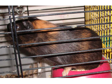 �ޣ�� � �������