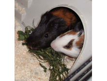 ���������� ��ۣ��� ����� �������!