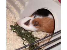 � � ��������� ������...