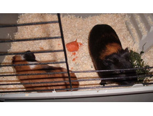 ��� ������ ����� �ӣ