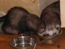 ��� ������� �����?