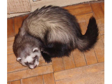 ��������.... �-�-�... ���������....