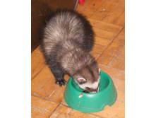 � ��� ���������...