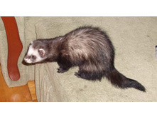 ����� �� ������ �������!