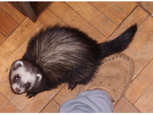 ��, ���������...