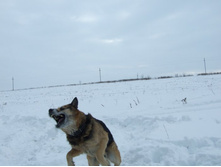 DSCF9699.JPG