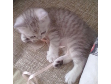 ������...