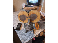 DSCF1045.jpg