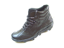 551 ������.jpg 1550 ���