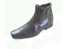 736 ������.JPG 1500���