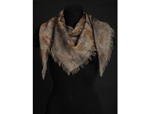 ������ 2 � 1 (���. ZM35-1) 360�.+%