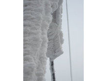 ������� ���� ������