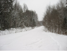 ������ � ����� �������