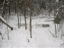 ��� ���� ��� ������������