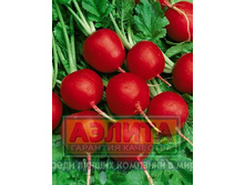 ����� ���� 5,25 ���..jpg