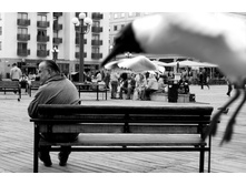 ��������� ���������� ����