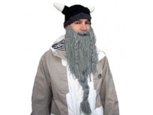 Long-Grey-Beard 800�.jpg