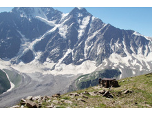 ����������, �����.... �����