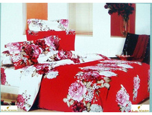 AIDA �����.JPEG