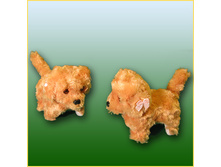 �������� ������ ������, ����.jpg