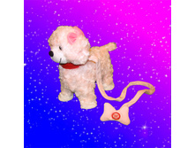 ������� ������ � ��������.jpg