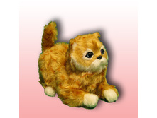 ����� ������ ��������� ������� �����.jpg