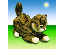 ����� ������ ��������� �������, ����������.jpg