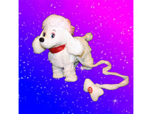 ������ ������ � ��������.jpg