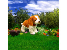 ������ ������������� ����-����������.jpg