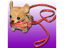 ������ � ��������.jpg