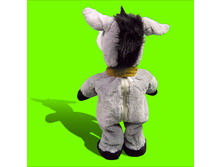 ��������� ����, �����.jpg