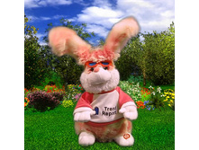 ��������, ���� �������.jpg