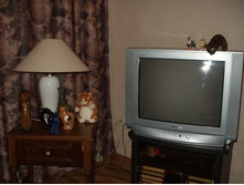 ����� ���:)