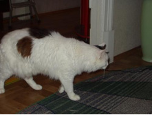 �������:)