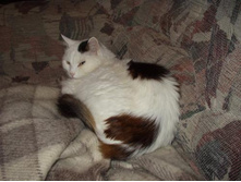 ����������:)