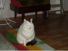 ��� �����:)